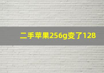 二手苹果256g变了128