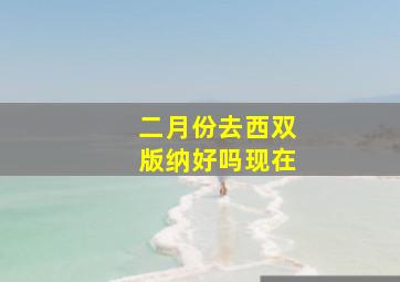 二月份去西双版纳好吗现在