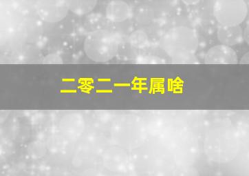 二零二一年属啥