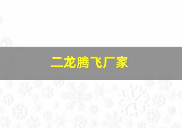 二龙腾飞厂家