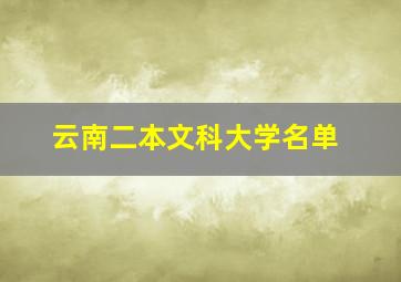 云南二本文科大学名单