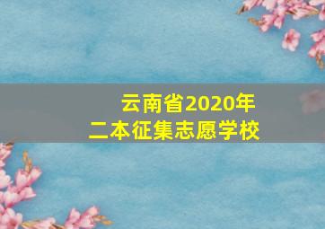 云南省2020年二本征集志愿学校