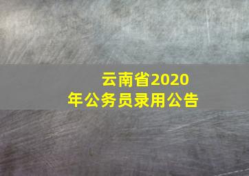 云南省2020年公务员录用公告