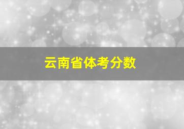 云南省体考分数