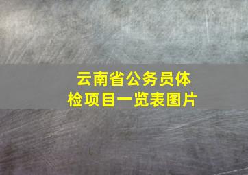 云南省公务员体检项目一览表图片