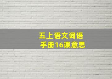 五上语文词语手册16课意思