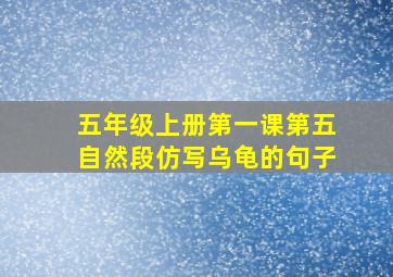 五年级上册第一课第五自然段仿写乌龟的句子