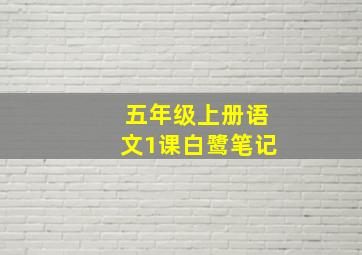 五年级上册语文1课白鹭笔记