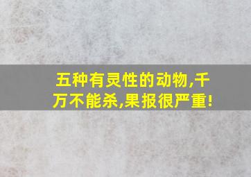 五种有灵性的动物,千万不能杀,果报很严重!