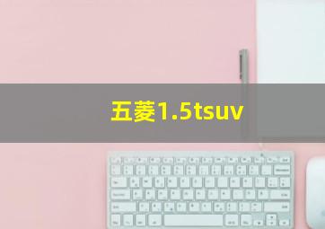 五菱1.5tsuv