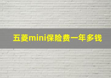 五菱mini保险费一年多钱