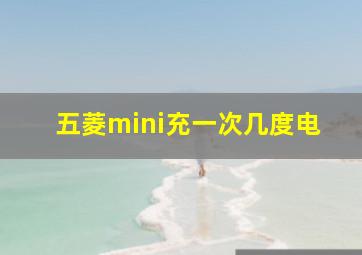 五菱mini充一次几度电