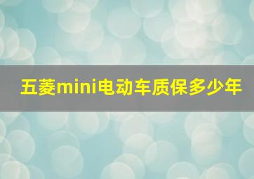 五菱mini电动车质保多少年