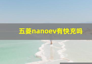 五菱nanoev有快充吗