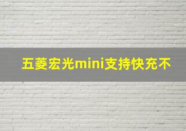 五菱宏光mini支持快充不