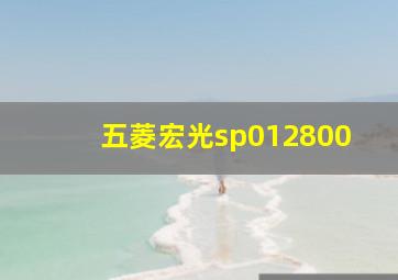 五菱宏光sp012800