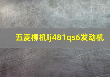 五菱柳机lj481qs6发动机