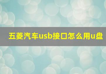 五菱汽车usb接口怎么用u盘