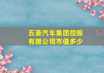 五菱汽车集团控股有限公司市值多少