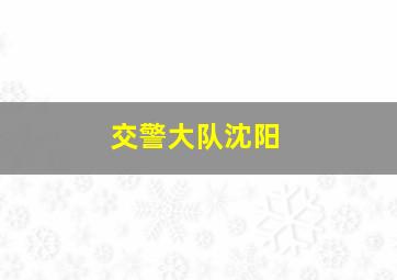 交警大队沈阳