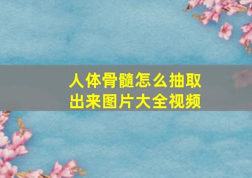 人体骨髓怎么抽取出来图片大全视频