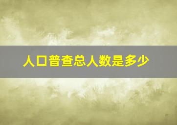 人口普查总人数是多少