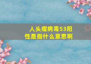 人头瘤病毒53阳性是指什么意思啊