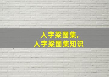 人字梁图集,人字梁图集知识