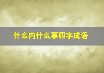 什么内什么事四字成语