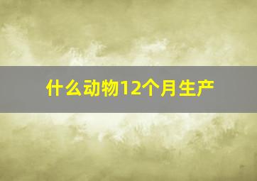 什么动物12个月生产