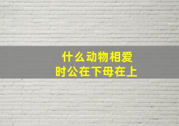 什么动物相爱时公在下母在上