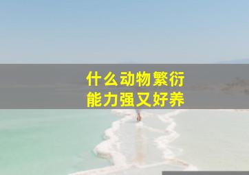 什么动物繁衍能力强又好养