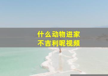 什么动物进家不吉利呢视频