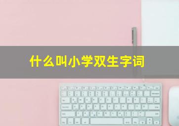 什么叫小学双生字词