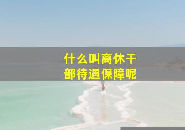 什么叫离休干部待遇保障呢