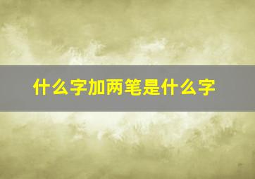 什么字加两笔是什么字