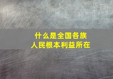 什么是全国各族人民根本利益所在