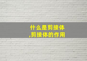 什么是剪接体,剪接体的作用