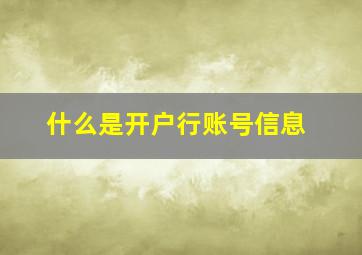 什么是开户行账号信息