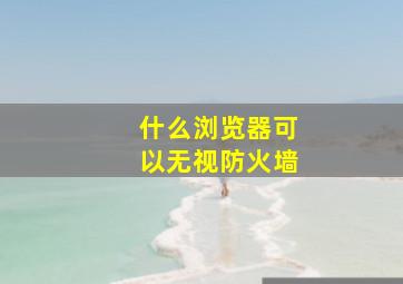 什么浏览器可以无视防火墙