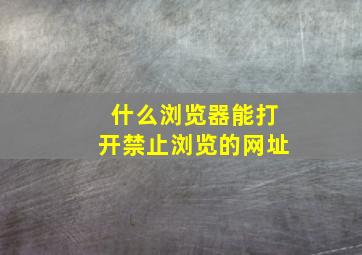 什么浏览器能打开禁止浏览的网址