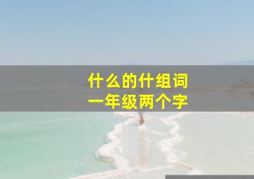 什么的什组词一年级两个字