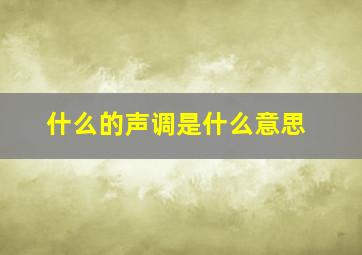 什么的声调是什么意思