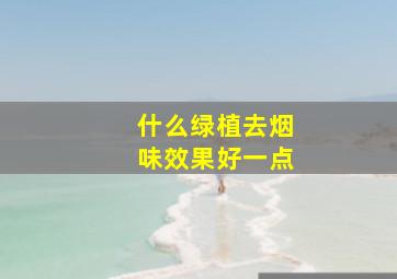 什么绿植去烟味效果好一点