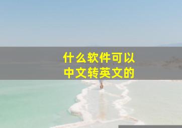 什么软件可以中文转英文的