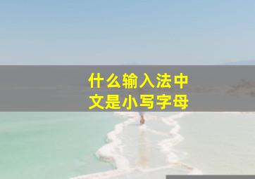 什么输入法中文是小写字母