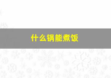 什么锅能煮饭