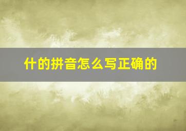 什的拼音怎么写正确的