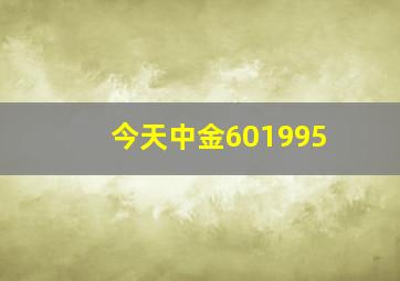 今天中金601995