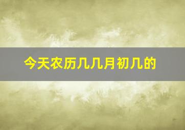 今天农历几几月初几的